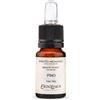 Estratto di profumo Fragranze CLASSICHE - Pino