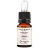 Estratto di profumo Fragranze CLASSICHE - Verbena