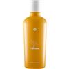 LUSH SHAMPOO - 250 ml