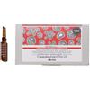 ENERGIZING SEASONAL SUPERACTIVE