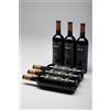 Masi Tupungato CORBEC 2021 | Rosso di Argentina | CONFEZIONE 6 BOTTIGLIE