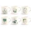H&H Botanic Set 6 Tazze Te', New Bone China, Decoro Assortito, cc220