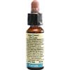 LABORATORIO ERBORISTICO D VERVAIN 10ML DI LEO