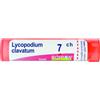 BOIRON Lycopodium Clavatum 7ch Globuli Monodose Boiron