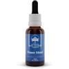 Green Remedies AUSTRALIAN BUSH FLOWER ESSENCES FLOWER MOOD 30 ML