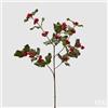 EDG Enzo De Gasperi Rex Ramo Natalizio con Bacche e Foglie H 66 Cm Verde Rosso