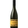 Ribolla Gialla Venezia Giulia Igt 2025 - Puiatti, 75 cl