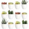 Youngever Confezione da 24 mini fioriere in plastica da 5 cm, vasi da fiori per interni, vaso da giardinaggio bianco con drenaggio, piante non incluse (moderne)