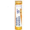 BOIRON SRL HYDRASTIS CANADENSIS*15CH80G BO