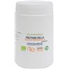 Benessence Proteine vegetali della Zucca Bio in Polvere
