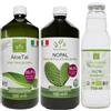Benessence Kit pancia piatta PRO: Aloe Vera da bere + Succo di fico dindia + Linfa di betulla