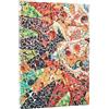 Paperblanks | 2026 I Fratelli Grimm, Il Principe Ranocchio | Collezione Fiabe | 12 Mesi | Midi | Verso | Chiusura con Fascia Elastica | 160 Pg | 100 GSM