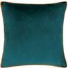 furn. Cuscino riempito di poliestere Meridian - Cuscino decorativo in velluto di lusso con bordo a contrasto (Verde Acqua/Tigre - 45x45cm)