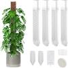 Xinxinphi 4 Pezzi Moss Pole Plastica con Bottiglie Goccia & Fascette, Bastone Muschio Inserimento Terra 25cm, Pali Supporto Monstera Giardino Autoirrigante, Palo Sfagno per Piante Rampicanti Interni