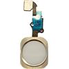 DHLK® Cavo Tasto Home Compatibile con iPhone 6 Bianco - No Impronta Digitale (A1549, A1586, A1589)