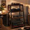 TWSOUL Rack HiFi a 4 livelli, giradischi, in legno e acciaio, torre audio, scaffale da gioco in legno con ripiani aperti, per giradischi e impianti stereo e impianto compatto, 48 x 36 x 80 cm