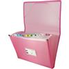 Grafoplás | Cartella Raccoglitore | Rosa Pastell| Formato Folio | 13 Posizioni Soffietto | Include etichetta per visori e schede | Coperture impermeabili in plastica | Multiline