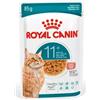 ROYAL CANIN cibo umido per gatti, Senior Ageing 11+, salsa 12x85 g