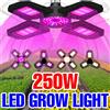 CanLing 250W E27/E26 Lampada da coltivazione a LED Spettro completo Pieghevole Pianta di riempimento Illuminazione Verdura Frutta Coltivazione idroponica 100W/150W/200W