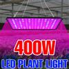 CanLing 400W LED Coltiva La Luce Spettro Completo Quantum Board Lampada per Coltivazione di Piante per Interni in Vaso di Frutta Serra Tenda Muschio Succulente