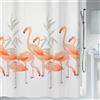Spirella Tenda da Doccia Poliestere Flamingo 240x180 cm Salmone