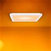 Wiz Panel lampada a soffitto, LED, 8720169077928, Panel [Lampade per Interni > Lampade a Soffitto]