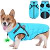 HezzLuv Giubbotto Invernale per Cani Impermeabile con Pettorina, Strisce Riflettenti & Collare LED, Foderato in Pile, Antivento/Regolabile - Cappotto Caldo per Cani Piccoli e Medi