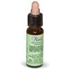 PROMOPHARMA SpA FLORIT 17 HORNBEAM/CAR BI GTT