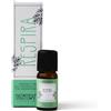 HP ITALIA Srl SINERGIA OLII ESS RESPIRA 10ML