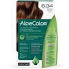 ZUCCARI Srl ALOECOLOR 6,34 BIO SCURO MIELE