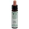 SANTIVERI Sa AINSWORTHS ELM 10ML