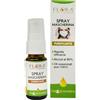 FLORA Srl SPRAY MASCHERINA 10ML