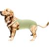 CAPASTEC Pannolini per Cani Lavabili E Riutilizzabili Verde S | Lavabile E Riutilizzabile, Per Cani Di Piccola E Media Taglia E Gatti, Taglia S, Assorbente, Delicato, Morbido