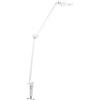 LEDVANCE SunHome Panan Desk Disc lampada da scrIvania, bianca, 15W, 1200lm, luce bianca regolabile (da 2200K a 5000K), dimmerabile, adatta automaticamente la luce al bioritmo, IP20