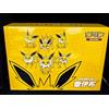 New Sealed Pokemon TCG S-Chinese 2024 Eevee GX Gift Box Jolteon Box Exclusive