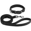 Playexen Set con Collare Gatti Cane Taglia Piccola Media Regolabile 25-40cm e 1,5M Guinzaglio per Cani Accessori Addestramento di Cotone per Cani Taglia Piccola Media Grande Allenamento&Passeggiate(Large 2cm)