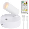 MIUUIPI Faretto a LED senza fili, ricaricabile tramite USB, con telecomando, 3 temperature di colore, dimmerabile, lampada da parete girevole con funzione temporizzata, per arte, piante, ritratti, bianco