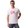 Calvin Klein Uomo T-shirt Maniche Corte Graphic Tee Scollo Rotondo, Rosso (Berry Sangria), M