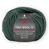 Unbekannt Pro Lana Italy Wool 75 circa 75 m col. 268 50 g
