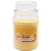 Amazzonia Candle Lemon Pound Cake 530 Gr Candela Profumata Naturale in Cera di Soia doppio stoppino in cotone Profumatore per Ambiente Torta Limone vaniglia Decorativa Giara in Vetro