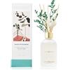 Cocorrína Diffusore Profumo Ambiente - Eucalipto Muschio Set di diffusori di canne da fiori da 200 ml con 11 bastoncini - Fragranza per la casa, camera da letto, bagno, scaffale