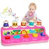 Wanonoo Giocattolo Pop-Up Musicale per Bambini 12 Mesi, Luci e Animali, Montessori Interattivo Causa Effetto, Giochi Educativi Neonato 1 Anno Regalo Bambina Bambino 1-2 Anni Giochi Sensoriali Bimbo