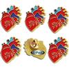 Omnisexual Confezione da 6/12/50/100 Spille in smalto rosse realistiche anatomiche a forma di cuore, spille per abbigliamento, borse e cappelli per uomo e donna, 30x30 mm, Ferro