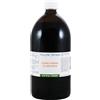 Heiltropfen 2% Lugols | Soluzione di iodio Lugol 1000 ml | 6% formulazione liquida | 2% iodio elementare e 4% di potassio | Ingredienti di grado farmaceutico | Test di terze parti | Heiltropfen®