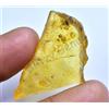 16.20 CT Naturale Tanzania Ambra Fossil Insetto Inclusione FACET Certificato
