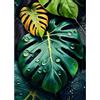 EOBROMD 5D Diamond Painting Kit Completo Monstera Deliciosa, Pittura Diamante FAI DA TE, Diamond Painting Bambini Adulti, Strass Ricamo a Punto Croce Painting per Decorazione Casa 30x40cm