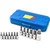 QWORK 13 Pezzi Set Di Chiavi A Bussola Torx T8-T70, Acciaio Legato CR-V, Da 1/2, 3/8, 1/4