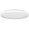Eglo LED lampada da soffitto Testara-E, Ø 30 cm, 2600 lumen, illuminazione bianca da cucina, plafoniera rotonda, luce soffitto bianco neutro