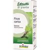 Boiron Ficus Carica Gemme Integratore Contro Acidità E Bruciore Di Stomaco 60 Ml