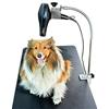 Gravitis Pet Supplies - Supporto professionale per asciugacapelli, solo supporto, adatto per l'uso con il tavolo professionale Gravitis per la toelettatura dei cani